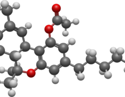 מבנה תלת מימדי של מולקולת THC-O-A